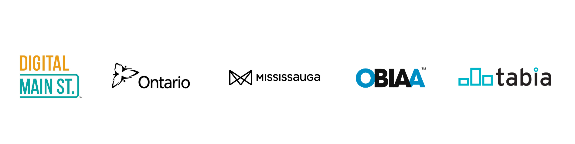 DMSt Mississauga Logos 2019