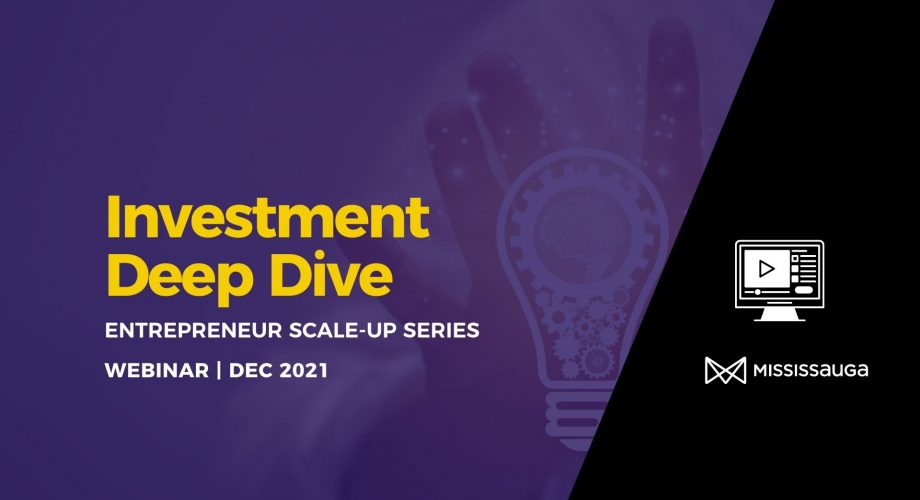Webinar Scale-Up Investment Deep Dive Dec 2021 BLOG