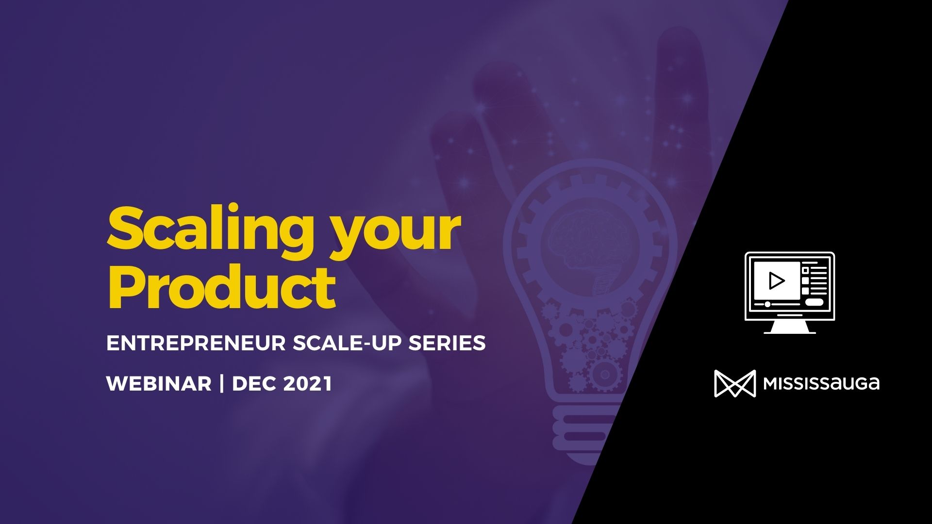 You are currently viewing Scale-Up Scaling Your Product – Webinar Dec 2